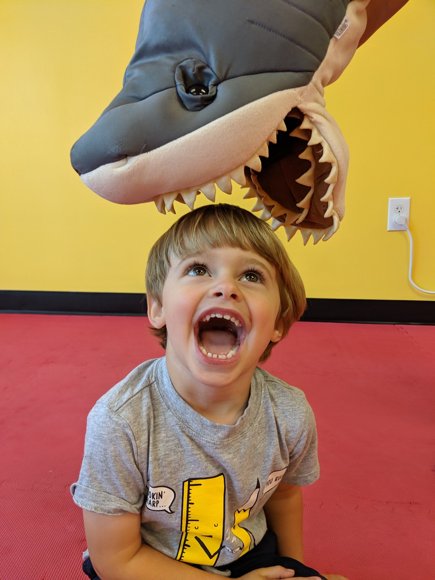 119954688 3245349755500363 7112763444853906455 o - The Playroom