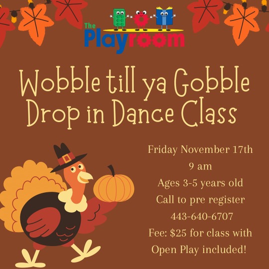 E445F30B E18E 405F AD19 357BFCE3A562 - The Playroom