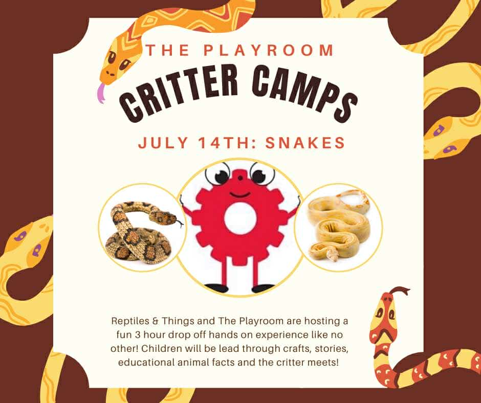 481824270 2388465464851843 8176587346631083851 n - The Playroom