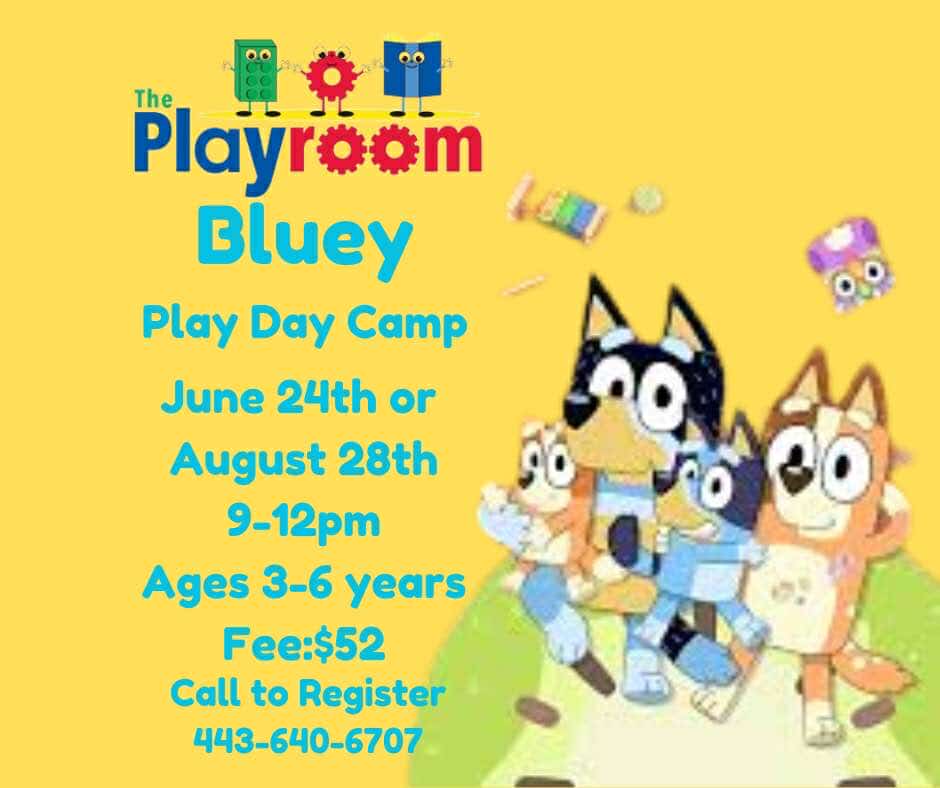 481937441 3906941272886409 541393626083015599 n - The Playroom