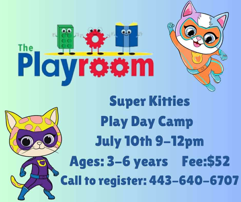 482380509 3212383672258445 1930520361092559108 n - The Playroom