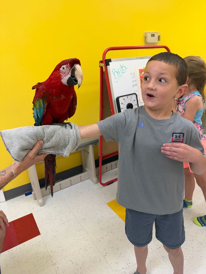 Boy has a look of surprise as he holds a parrot on his arm during Fun Fridays at The Playroom near Bel Air, MD